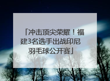 冲击顶尖荣耀！福建3名选手出战印尼羽毛球公开赛