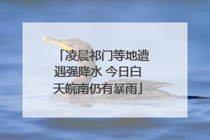 凌晨祁门等地遭遇强降水 今日白天皖南仍有暴雨