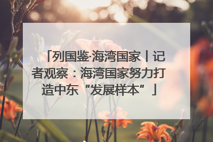 列国鉴·海湾国家丨记者观察：海湾国家努力打造中东“发展样本”