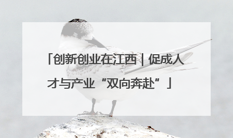创新创业在江西｜促成人才与产业“双向奔赴”