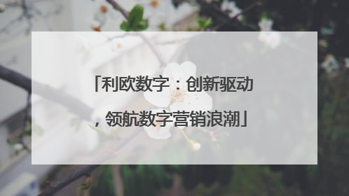 利欧数字：创新驱动，领航数字营销浪潮