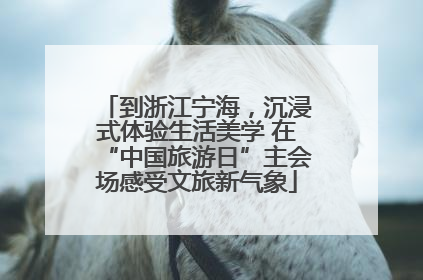 到浙江宁海，沉浸式体验生活美学 在“中国旅游日”主会场感受文旅新气象