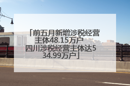 前五月新增涉税经营主体48.15万户 四川涉税经营主体达534.99万户