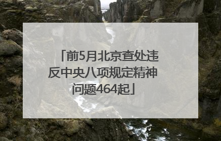 前5月北京查处违反中央八项规定精神问题464起