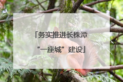 务实推进长株潭“一座城”建设