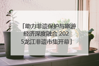 助力非遗保护与旅游经济深度融合 2025龙江非遗市集开幕