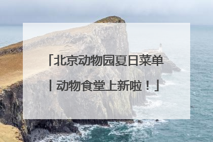 北京动物园夏日菜单丨动物食堂上新啦！