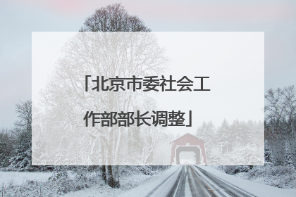 北京市委社会工作部部长调整