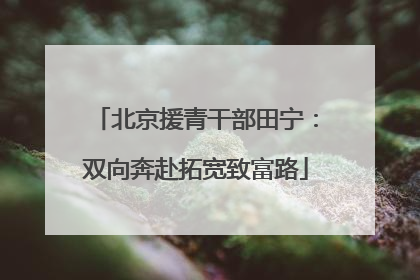 北京援青干部田宁：双向奔赴拓宽致富路