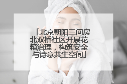 北京朝阳三间房北双桥社区开展花箱治理，构筑安全与诗意共生空间
