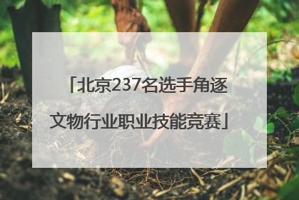 北京237名选手角逐文物行业职业技能竞赛