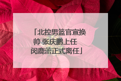 北控男篮官宣换帅 张庆鹏上任 闵鹿蕾正式离任