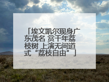 埃文凯尔现身广东茂名 赏千年荔枝树 上演无间道式“荔枝自由”