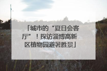 城市的“夏日会客厅”！探访淄博高新区植物园避暑胜景