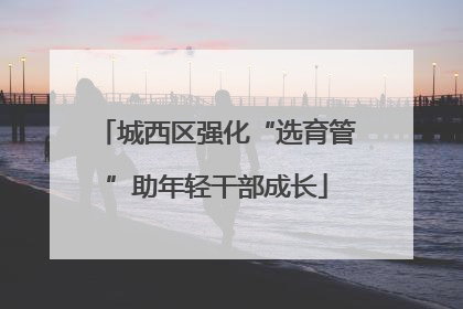 城西区强化“选育管”助年轻干部成长