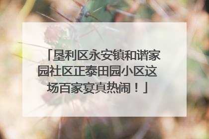 垦利区永安镇和谐家园社区正泰田园小区这场百家宴真热闹！