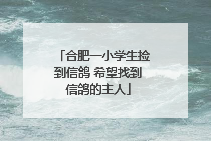 合肥一小学生捡到信鸽 希望找到信鸽的主人