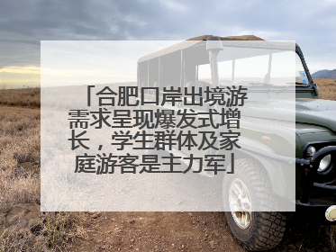 合肥口岸出境游需求呈现爆发式增长，学生群体及家庭游客是主力军