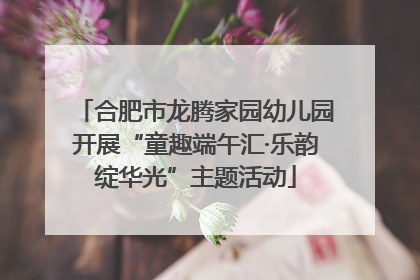 合肥市龙腾家园幼儿园开展“童趣端午汇·乐韵绽华光”主题活动