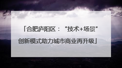 合肥庐阳区：“技术+场景”创新模式助力城市商业再升级