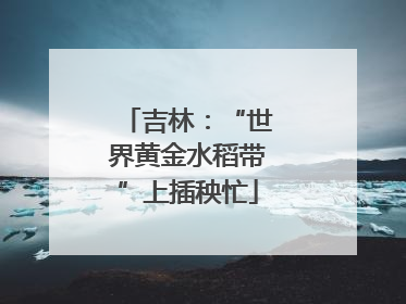 吉林：“世界黄金水稻带”上插秧忙