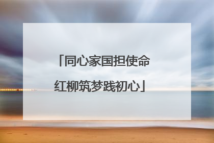 同心家国担使命 红柳筑梦践初心