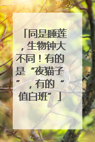 同是睡莲，生物钟大不同！有的是“夜猫子”，有的“值白班”