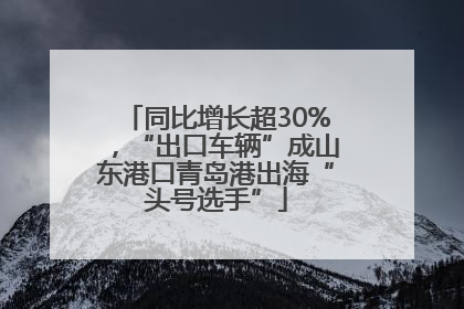 同比增长超30%，“出口车辆”成山东港口青岛港出海“头号选手”
