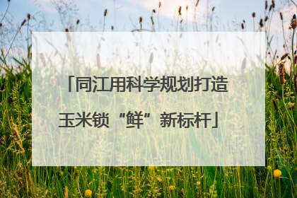 同江用科学规划打造玉米锁“鲜”新标杆
