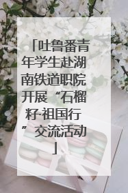 吐鲁番青年学生赴湖南铁道职院开展“石榴籽·祖国行”交流活动