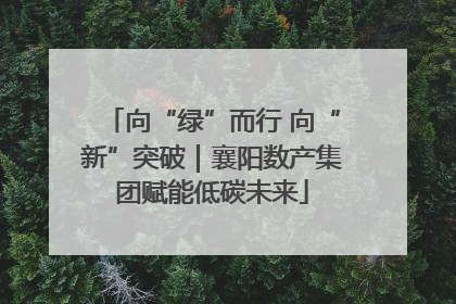向“绿”而行 向“新”突破｜襄阳数产集团赋能低碳未来