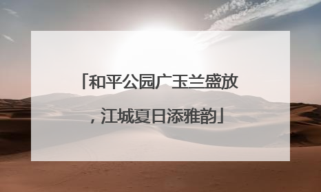 和平公园广玉兰盛放，江城夏日添雅韵