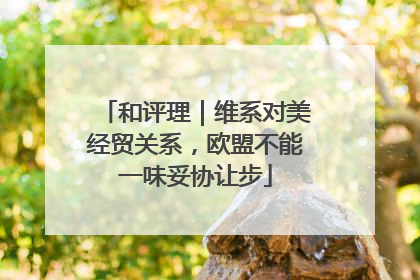 和评理｜维系对美经贸关系，欧盟不能一味妥协让步