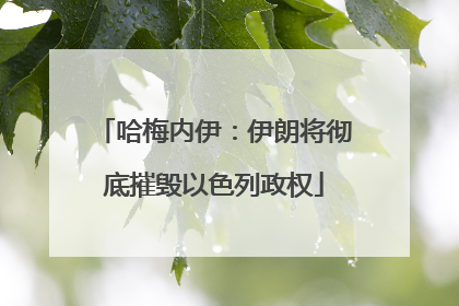 哈梅内伊：伊朗将彻底摧毁以色列政权