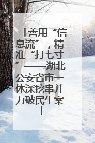 善用“信息流”，精准“打七寸”——湖北公安省市一体深挖串并力破民生案