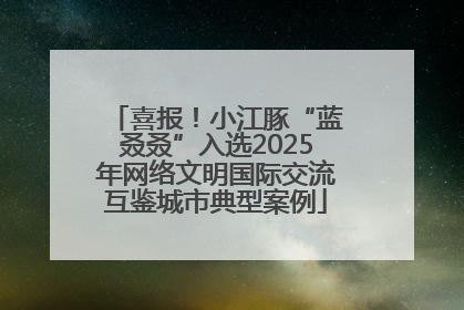 喜报！小江豚“蓝叒叒”入选2025年网络文明国际交流互鉴城市典型案例