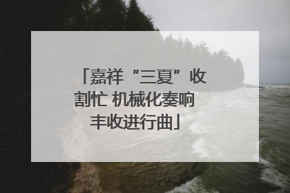 嘉祥“三夏”收割忙 机械化奏响丰收进行曲
