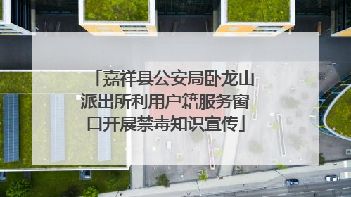 嘉祥县公安局卧龙山派出所利用户籍服务窗口开展禁毒知识宣传