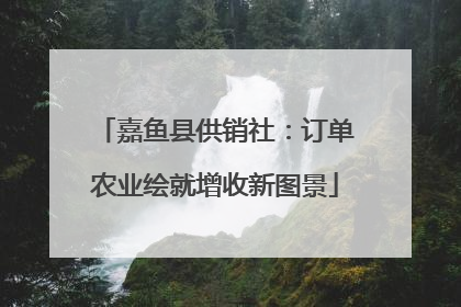 嘉鱼县供销社：订单农业绘就增收新图景