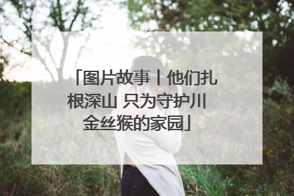 图片故事丨他们扎根深山 只为守护川金丝猴的家园