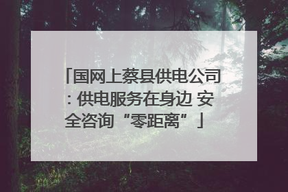 国网上蔡县供电公司：供电服务在身边 安全咨询“零距离”