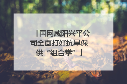 国网咸阳兴平公司全面打好抗旱保供“组合拳”