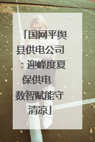 国网平舆县供电公司：迎峰度夏保供电  数智赋能守清凉