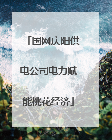 国网庆阳供电公司电力赋能桃花经济