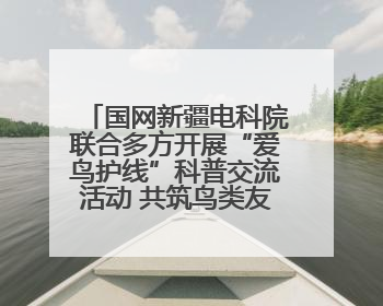 国网新疆电科院联合多方开展“爱鸟护线”科普交流活动 共筑鸟类友好城市