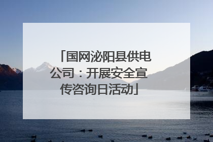 国网泌阳县供电公司：开展安全宣传咨询日活动
