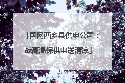 国网西乡县供电公司：战高温保供电送清凉