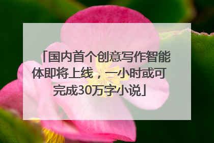 国内首个创意写作智能体即将上线，一小时或可完成30万字小说
