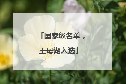 国家级名单，王母湖入选