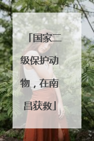 国家二级保护动物，在南昌获救